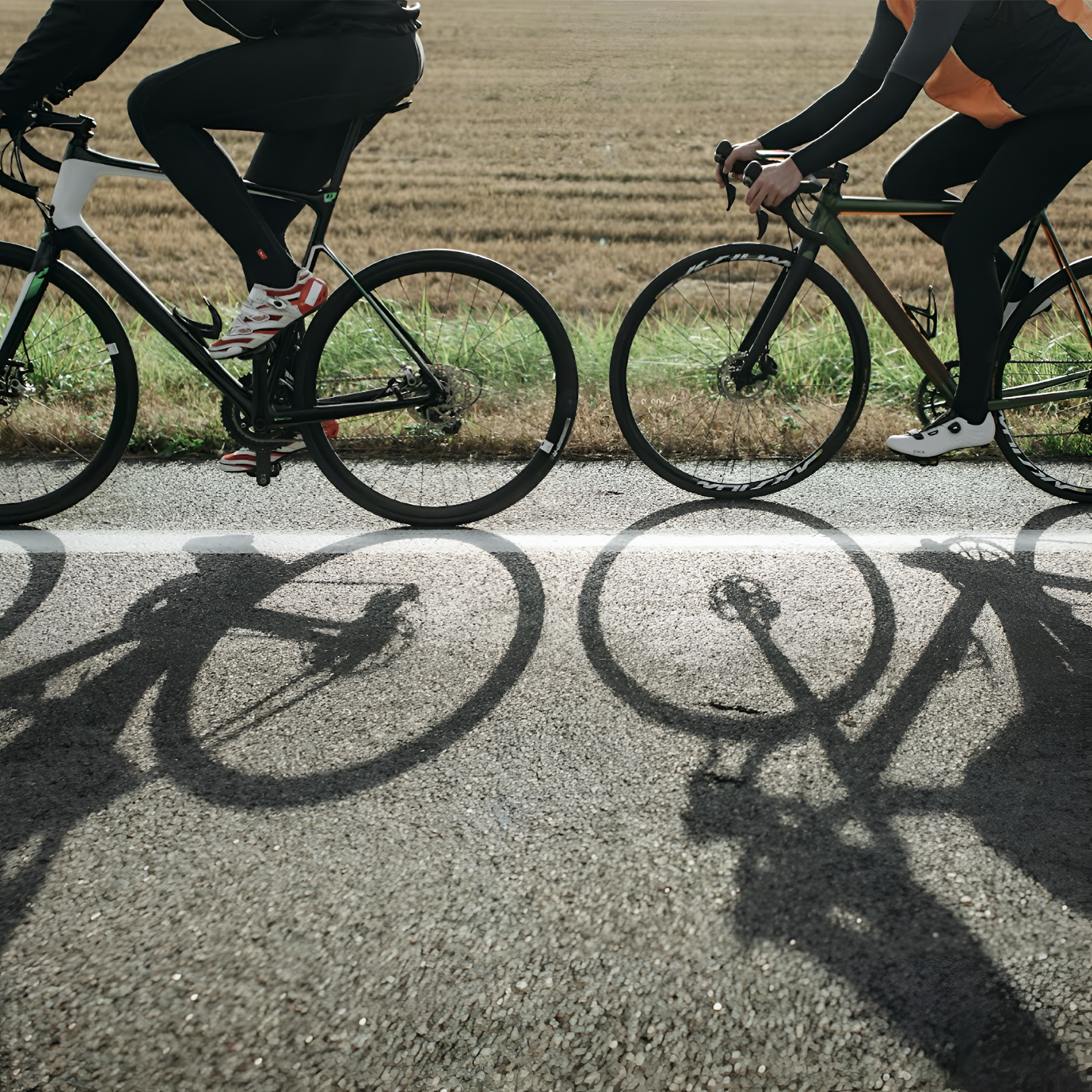 Your Longevity Foundation: Strength, Muscle, and VO₂ Max