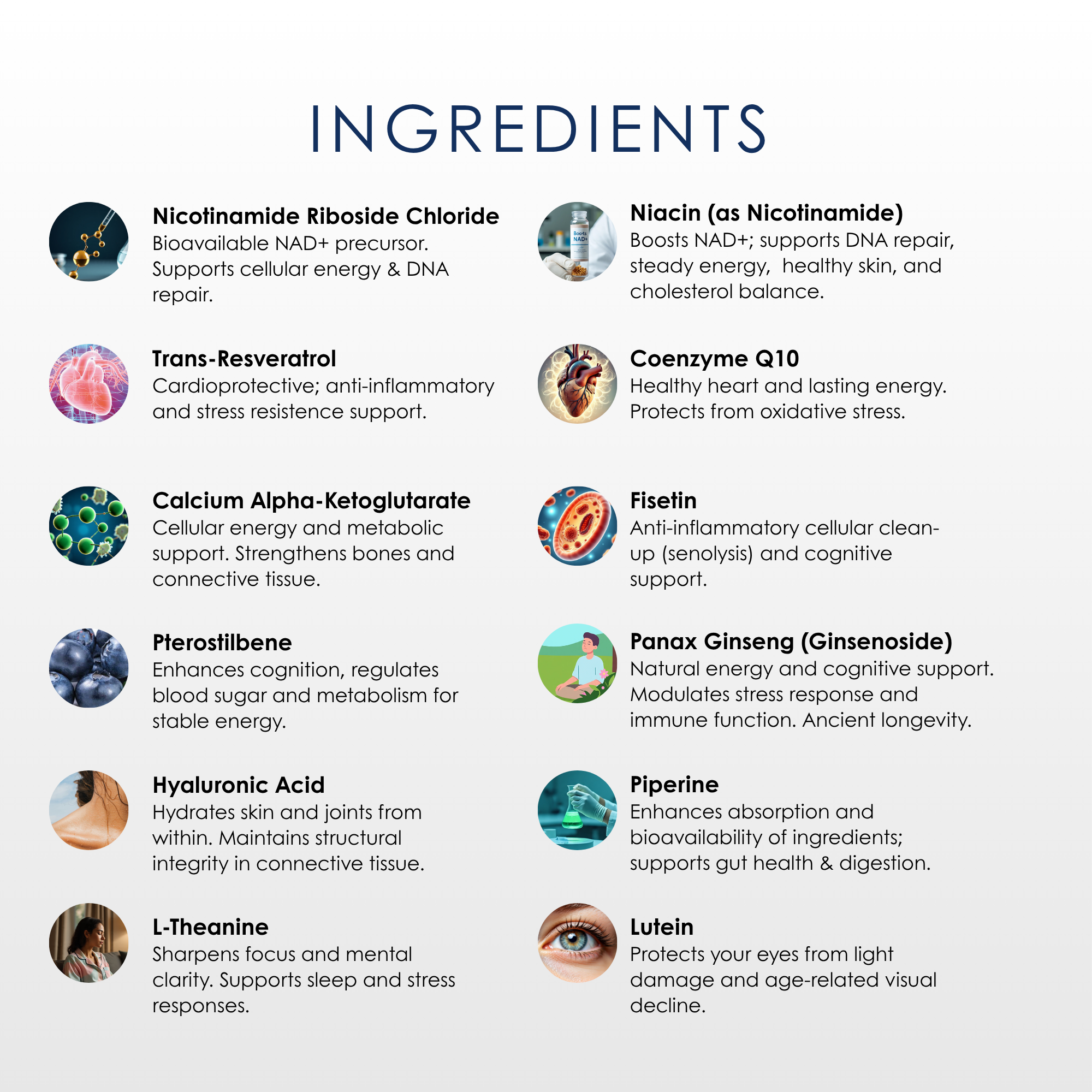The Longevita™ Supplement