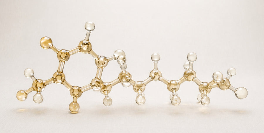 Coenzyme Q10 (CoQ10)