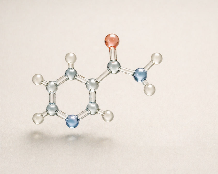 NAD+ boost: NICOTINAMIDE (NIACIN)