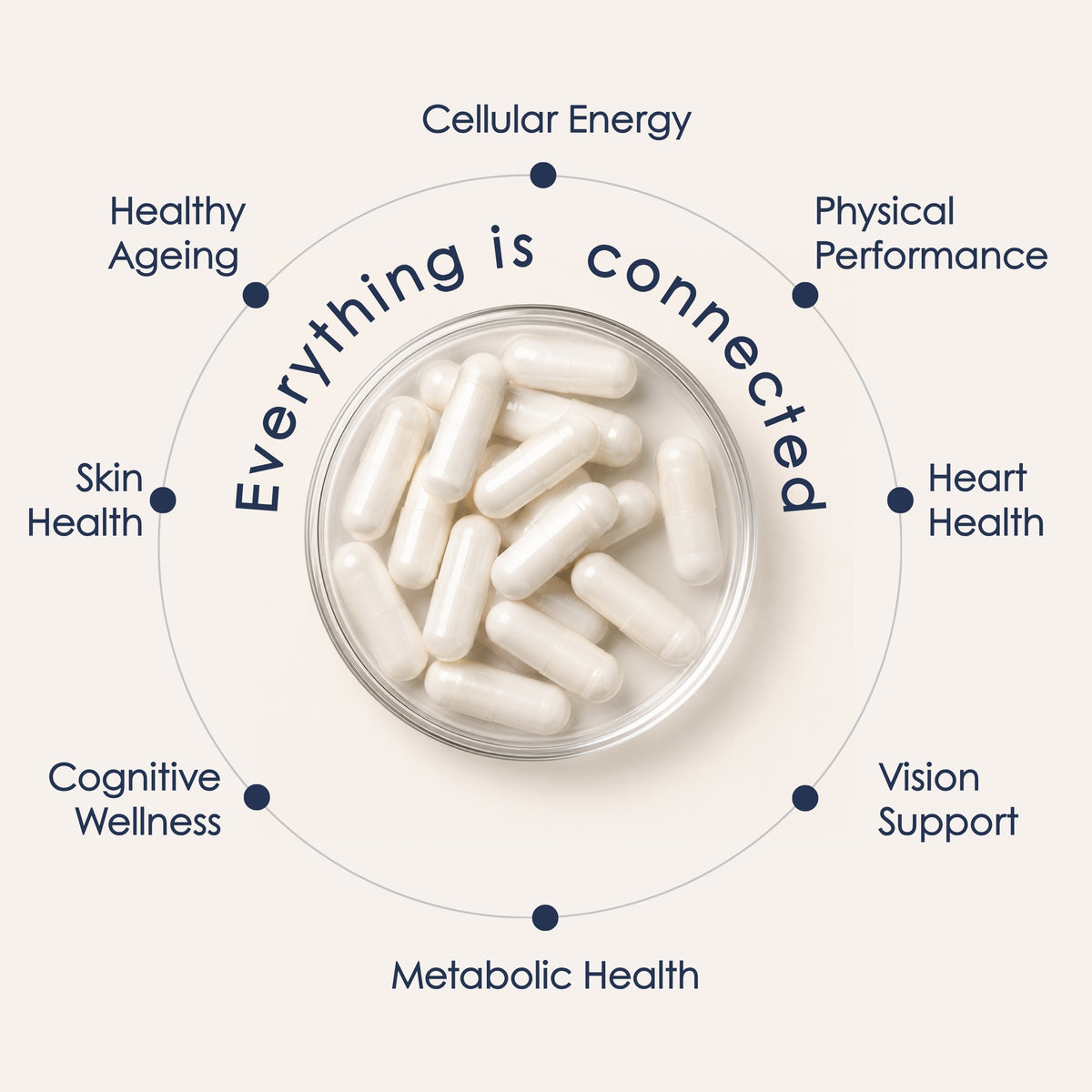 The Longevita™ Supplement